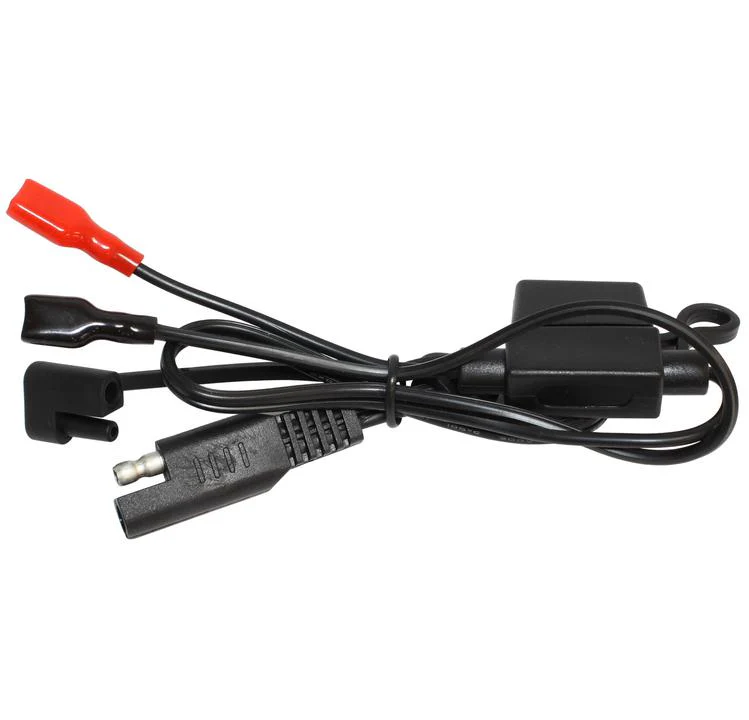 Enecharger 6V/12V 15Amp Lithium-Ion Battery Charger - Image 2