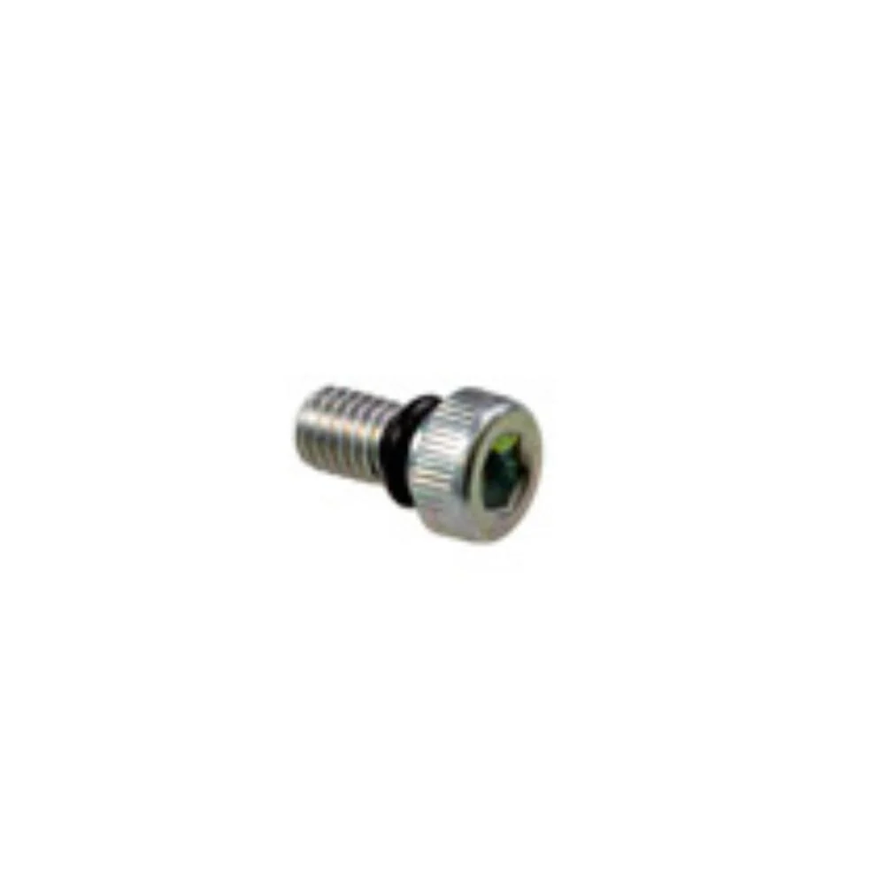 KYB Shock Drain Bolt With O-Ring